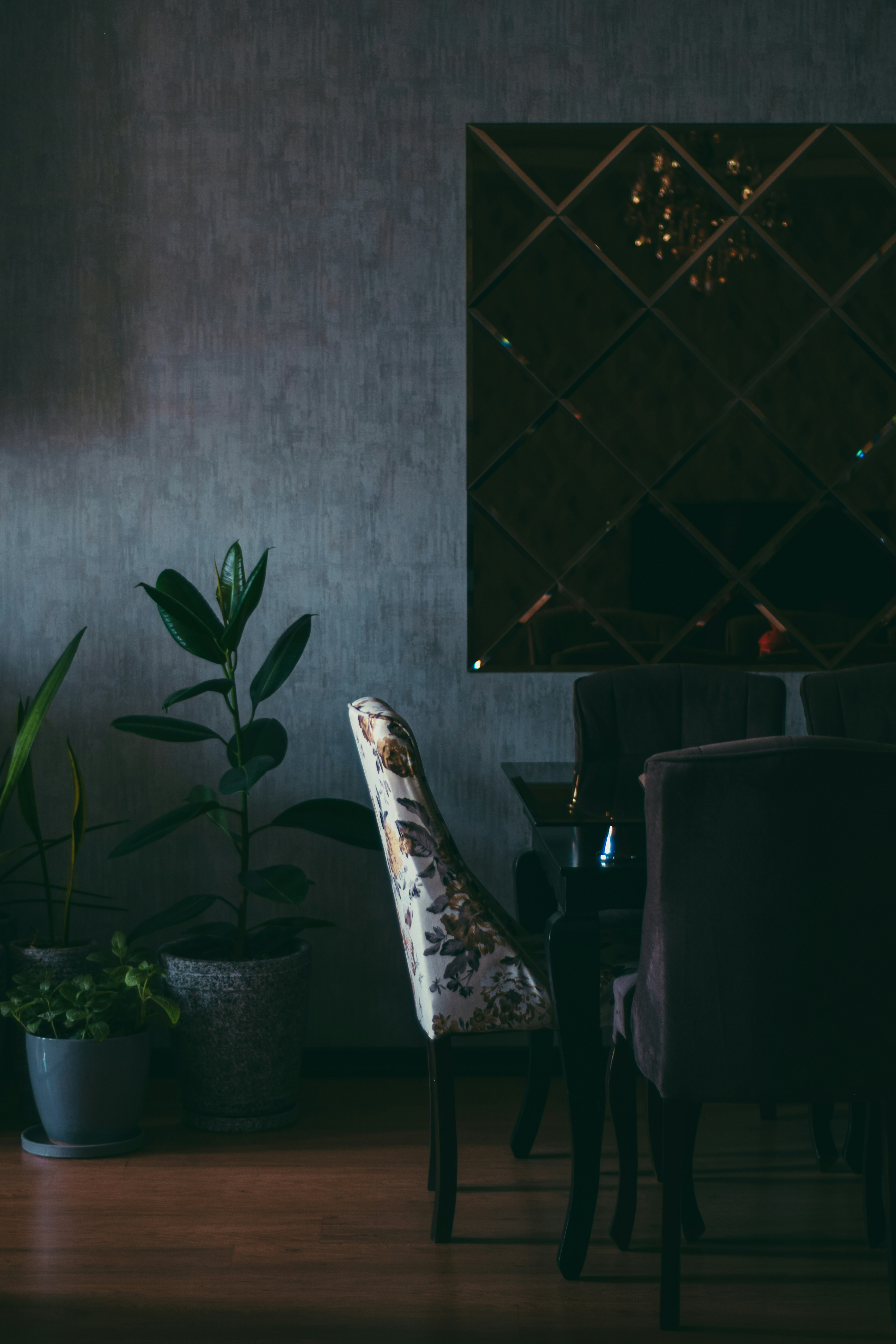 green potted plant beside black and white floral chair